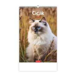 Kalendart 2025 T094 Cicák falinaptár