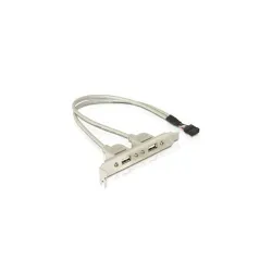 ADA Delock 71000 1 x belső USB 10pin - 2 x USB2.0 külső slot konzol
