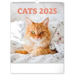 Realsystem 2022-es Cats 6087-CA falinaptár