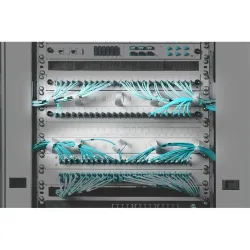 DIGITUS műanyag gyűrűs kábelrendező panel 1U 19" (DN-97602-2)