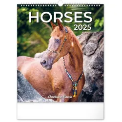 Realsystem 2022-es Horses 6087-HO falinaptár