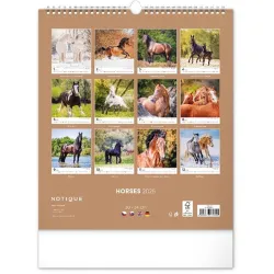 Realsystem 2022-es Horses 6087-HO falinaptár