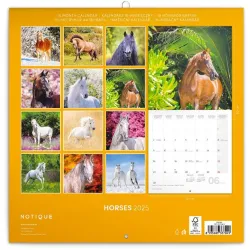 Realsystem 2022-es Horses 6097-HO falinaptár