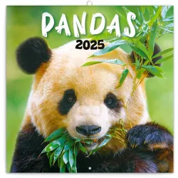 Realsystem 2022-es Pandas 6097-PS lemeznaptár