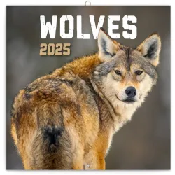 Realsystem 2022-es Wolves 6097-WS falinaptár