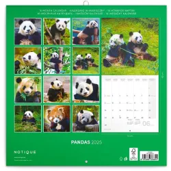 Realsystem 2022-es Pandas 6097-PS lemeznaptár