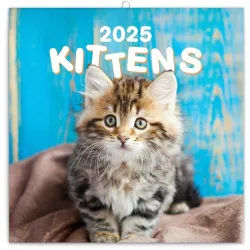Realsystem 2022-es Kittens 6097-KI falinaptár
