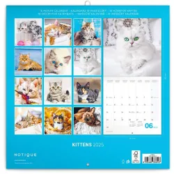 Realsystem 2022-es Kittens 6097-KI falinaptár
