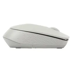 Rapoo M100 Silent Bluetooth and Wireless Mouse Light Gray