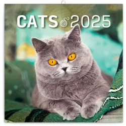 Realsystem 2022-es Cat 6097-CA falinaptár