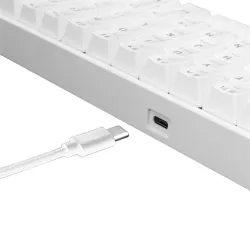 White Shark Shinobi Blue Switch Mechanical Keyboard White HU