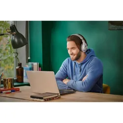 Panasonic RB-HX220BDEK silver over-ear bluetooth ODM