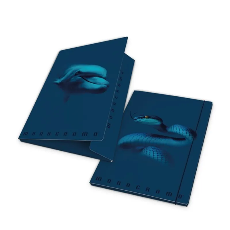 Pigna Monocromo Blue A4 karton gumis mappa Pigna Monocromo Blue A4 karton gumis mappa