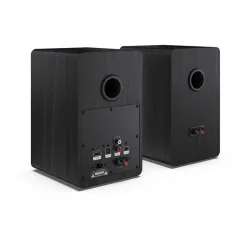 Sharp CP-SS30BR Bookshelf Speaker Black