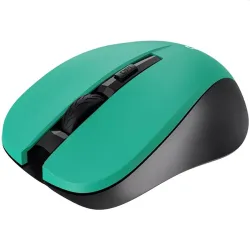 Canyon CNE-CMSW1GR Wireless Green