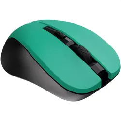 Canyon CNE-CMSW1GR Wireless Green