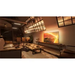 Philips 55" 55PML9008 LED