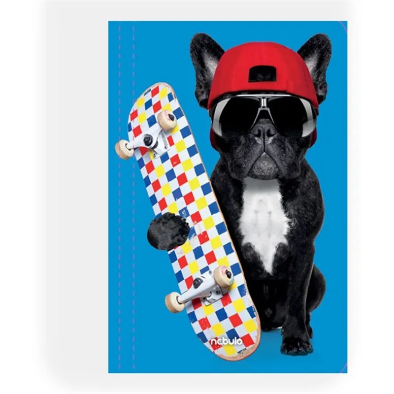 Nebulo Deszkás bulldog A4 gumismappa Nebulo Deszkás bulldog A4 gumismappa