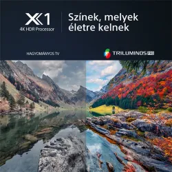 Sony KD-55X80L 55" 4K Ultra HD Smart LED TV (KD55X80LAEP)