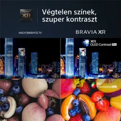 Sony XR-55A95L 55" 4K UHD Smart OLED TV (XR55A95LAEP)