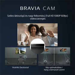 Sony XR-55A95L 55" 4K UHD Smart OLED TV (XR55A95LAEP)