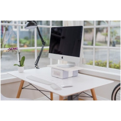 Kensington FreshView levegőszűrős monitorállvány (K55460EU)