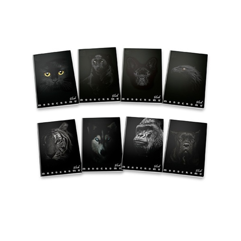Pigna Monocromo Black A4 38lapos kockás füzet Pigna Monocromo Black A4 38lapos kockás füzet