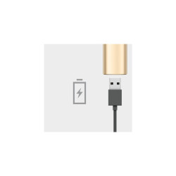 Logitech Spotlight prezenter arany (910-004862)