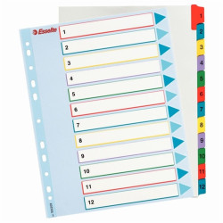 Esselte újraírható 1-12 felirattal rendelkező karton regiszter, A4, extra széles (100209)