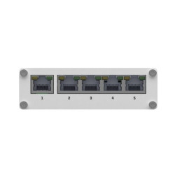 Teltonika TSW110 5-port Switch