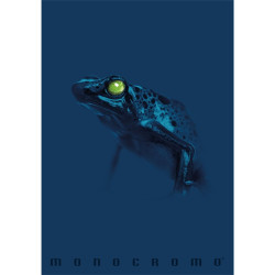 Pigna Monocromo Blue A4 tűzött 38 lapos kockás füzet