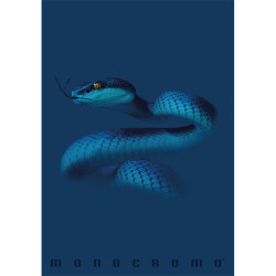 Pigna Monocromo Blue A4 tűzött 38 lapos vonalas füzet
