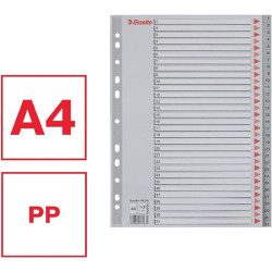 Regiszter, műanyag, A4, 1-31, ESSELTE, szürke
