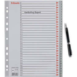 Regiszter, műanyag, A4, 1-31, ESSELTE, szürke