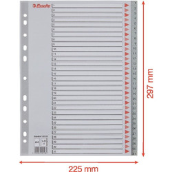Regiszter, műanyag, A4, 1-31, ESSELTE, szürke