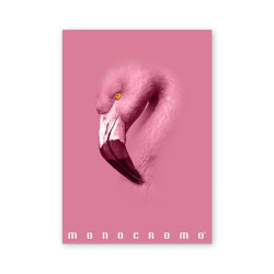 Pigna Monocromo Pink A4 38 lap, tűzött, vonalas füzet